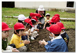 神様、はつか大根　大きく育ちますように