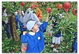 １０月　りんご狩り　これおいしそう